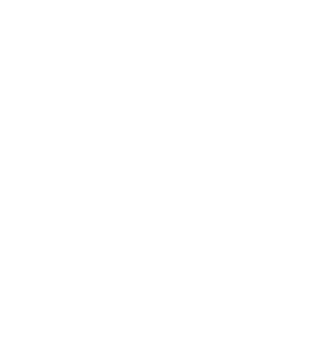 Moneda souvenir